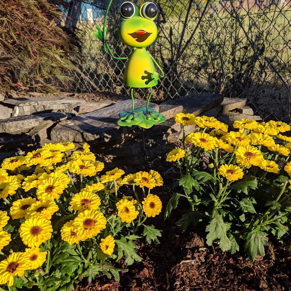 Meet your Posher, Cosette